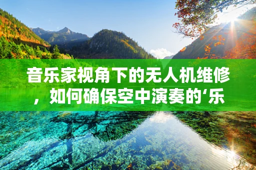 音乐家视角下的无人机维修，如何确保空中演奏的‘乐章’无误？