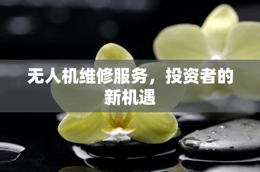 无人机维修服务，投资者的新机遇