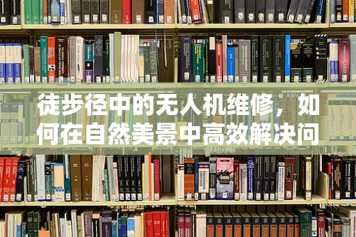 徒步径中的无人机维修，如何在自然美景中高效解决问题？