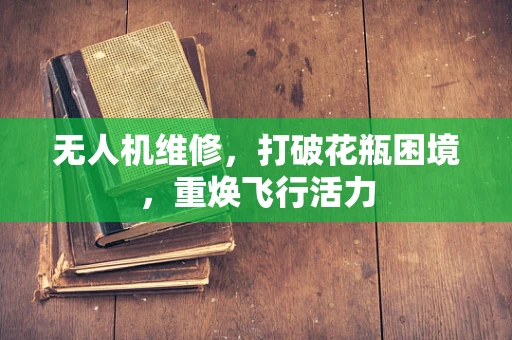 无人机维修，打破花瓶困境，重焕飞行活力