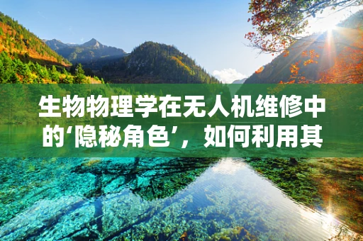 生物物理学在无人机维修中的‘隐秘角色’，如何利用其原理优化维护策略？