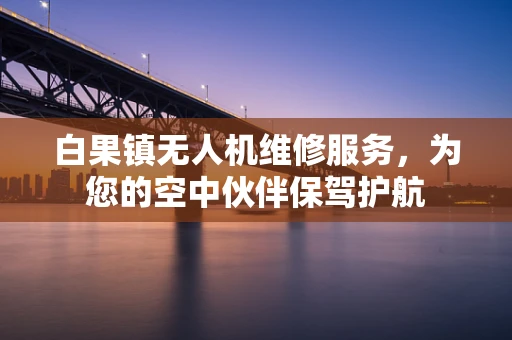 白果镇无人机维修服务，为您的空中伙伴保驾护航
