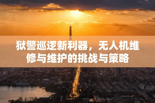狱警巡逻新利器，无人机维修与维护的挑战与策略