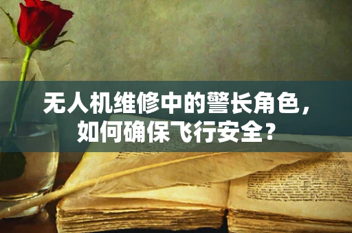 无人机维修中的警长角色，如何确保飞行安全？