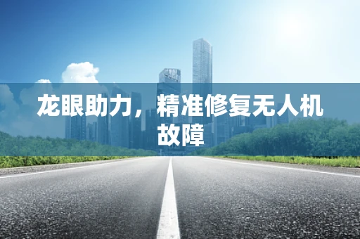 龙眼助力，精准修复无人机故障