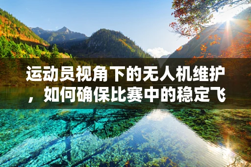 运动员视角下的无人机维护，如何确保比赛中的稳定飞行？