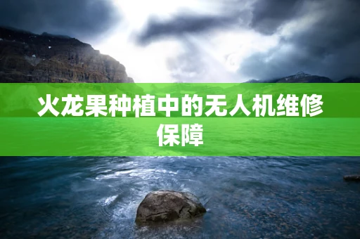 火龙果种植中的无人机维修保障