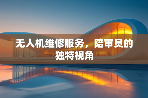 无人机维修服务，陪审员的独特视角