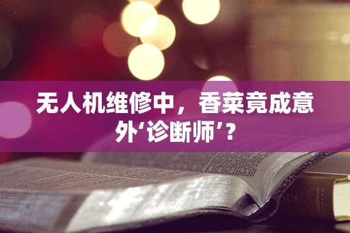 无人机维修中，香菜竟成意外‘诊断师’？