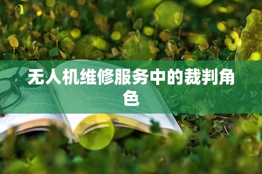 无人机维修服务中的裁判角色
