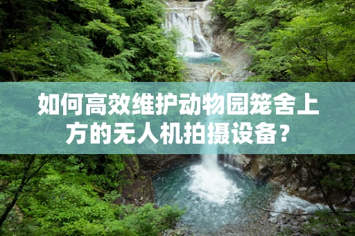 如何高效维护动物园笼舍上方的无人机拍摄设备？