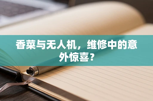 香菜与无人机，维修中的意外惊喜？