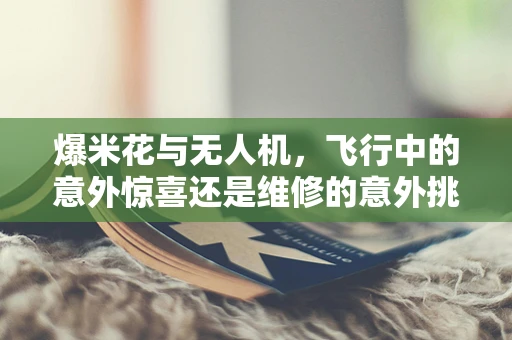 爆米花与无人机，飞行中的意外惊喜还是维修的意外挑战？