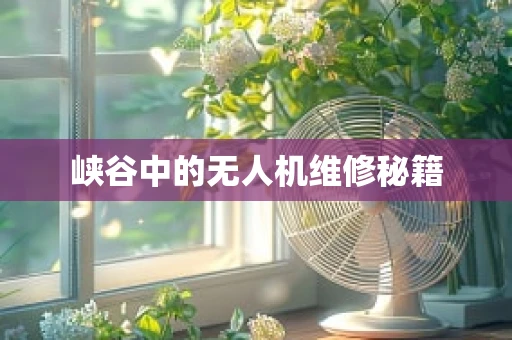 峡谷中的无人机维修秘籍