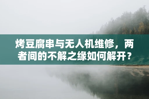 烤豆腐串与无人机维修，两者间的不解之缘如何解开？