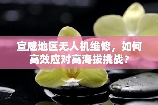 宣威地区无人机维修，如何高效应对高海拔挑战？