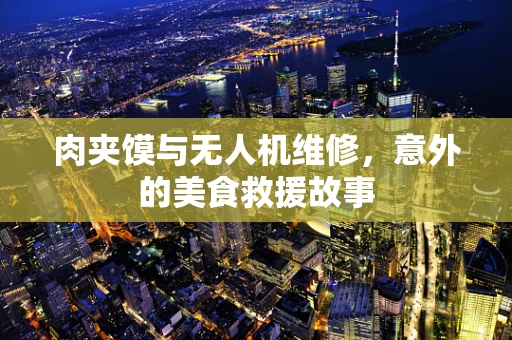 肉夹馍与无人机维修，意外的美食救援故事