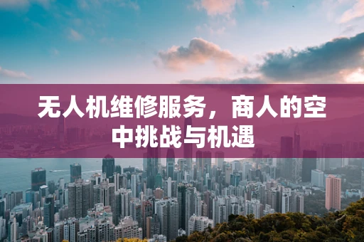 无人机维修服务，商人的空中挑战与机遇