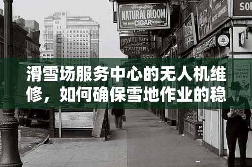 滑雪场服务中心的无人机维修，如何确保雪地作业的稳定与安全？