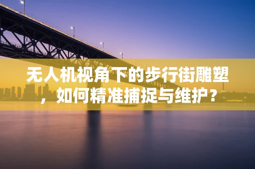 无人机视角下的步行街雕塑，如何精准捕捉与维护？