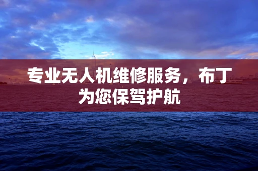 专业无人机维修服务，布丁为您保驾护航