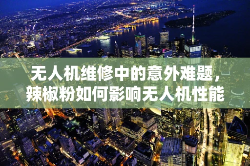 无人机维修中的意外难题，辣椒粉如何影响无人机性能？