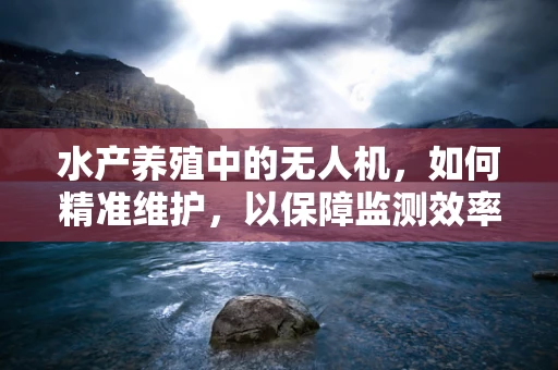 水产养殖中的无人机，如何精准维护，以保障监测效率？