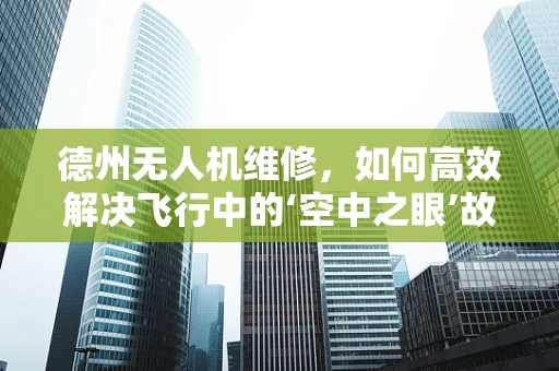 德州无人机维修，如何高效解决飞行中的‘空中之眼’故障？
