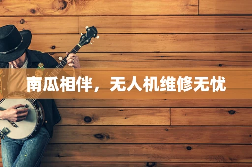 南瓜相伴，无人机维修无忧