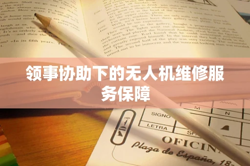 领事协助下的无人机维修服务保障
