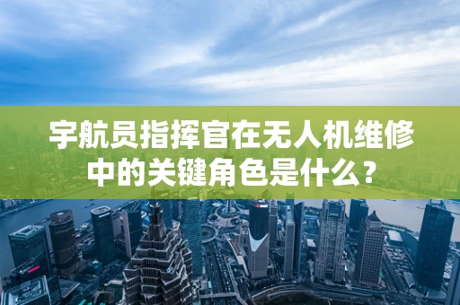 宇航员指挥官在无人机维修中的关键角色是什么？