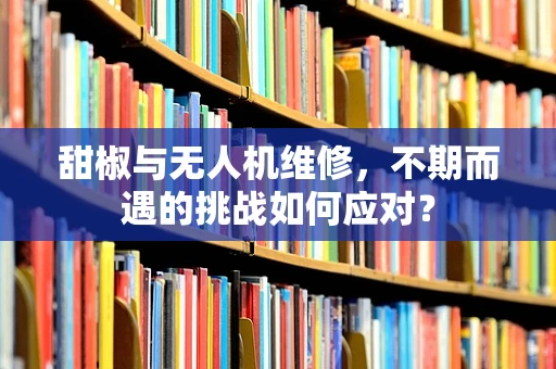 甜椒与无人机维修，不期而遇的挑战如何应对？