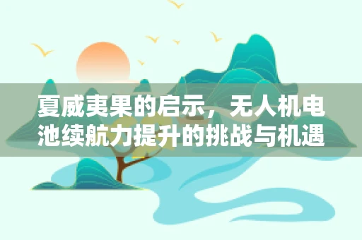 夏威夷果的启示，无人机电池续航力提升的挑战与机遇