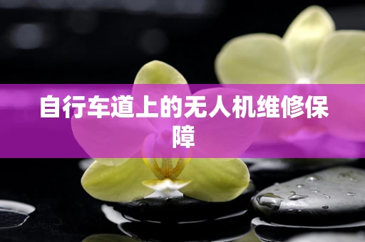 自行车道上的无人机维修保障