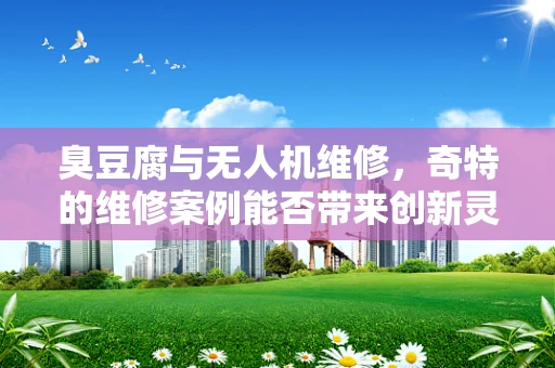 臭豆腐与无人机维修，奇特的维修案例能否带来创新灵感？
