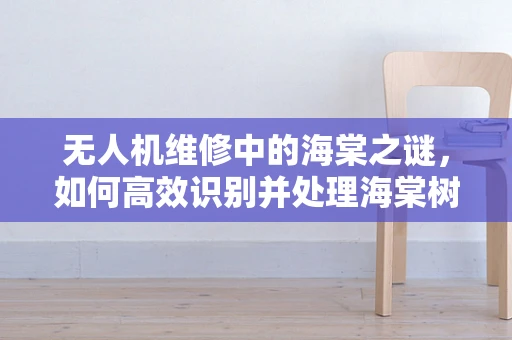 无人机维修中的海棠之谜，如何高效识别并处理海棠树下的信号干扰？