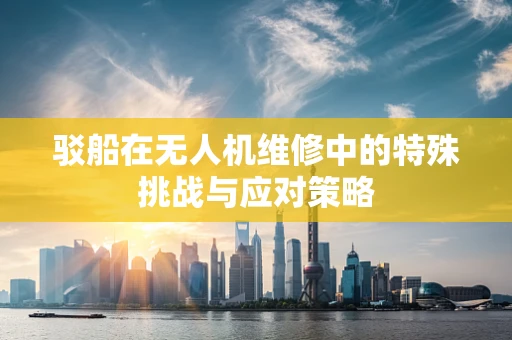 驳船在无人机维修中的特殊挑战与应对策略