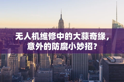 无人机维修中的大蒜奇缘，意外的防腐小妙招？