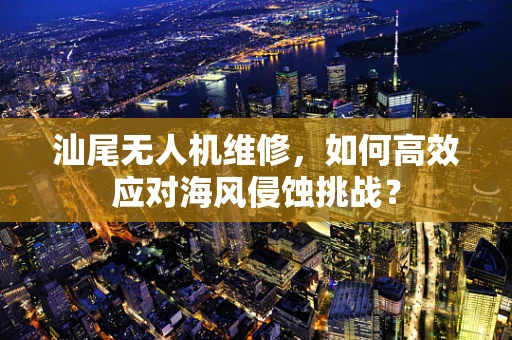 汕尾无人机维修，如何高效应对海风侵蚀挑战？