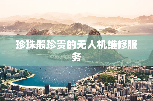 珍珠般珍贵的无人机维修服务