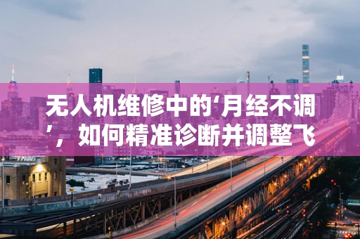 无人机维修中的‘月经不调’，如何精准诊断并调整飞行稳定性？