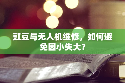 豇豆与无人机维修，如何避免因小失大？