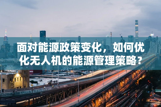 面对能源政策变化，如何优化无人机的能源管理策略？