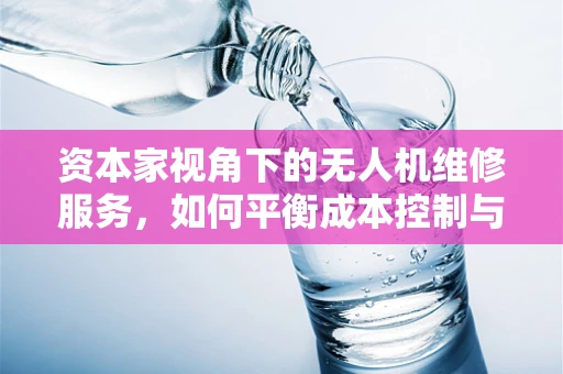 资本家视角下的无人机维修服务，如何平衡成本控制与技术创新？