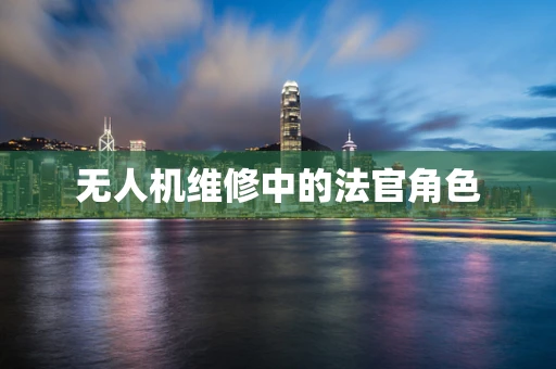 无人机维修中的法官角色