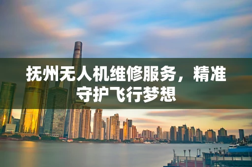 抚州无人机维修服务，精准守护飞行梦想