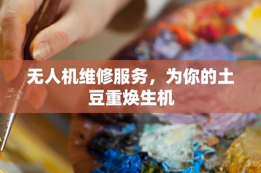 无人机维修服务，为你的土豆重焕生机