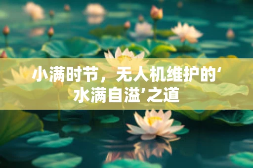 小满时节，无人机维护的‘水满自溢’之道