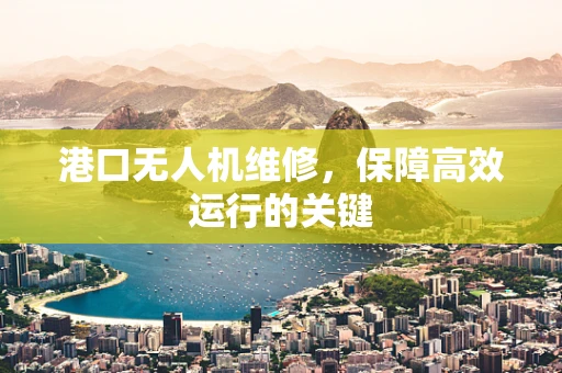 港口无人机维修，保障高效运行的关键