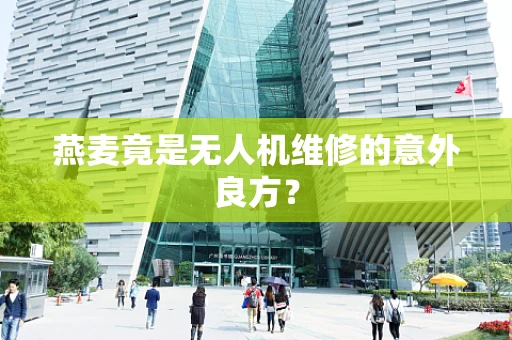 燕麦竟是无人机维修的意外良方？